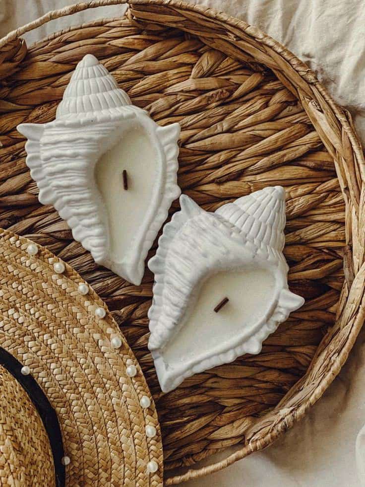 Set of 2 Wax Concrete Conch Candle Set for Diwali/Home décor/Gift Item
