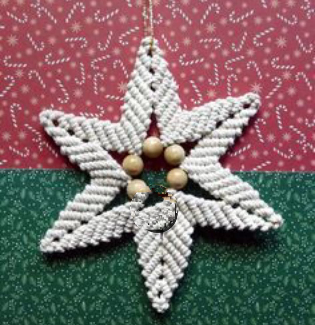 Set of 10 Star Wall/Christmas Tree hangings Home Decor/Gift Purpose/for The Festival Christmas and New Year/Birthday Decoration