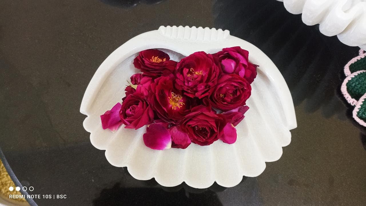 Marble Shell urli Platter/Snacks Platter/Sweet Platter